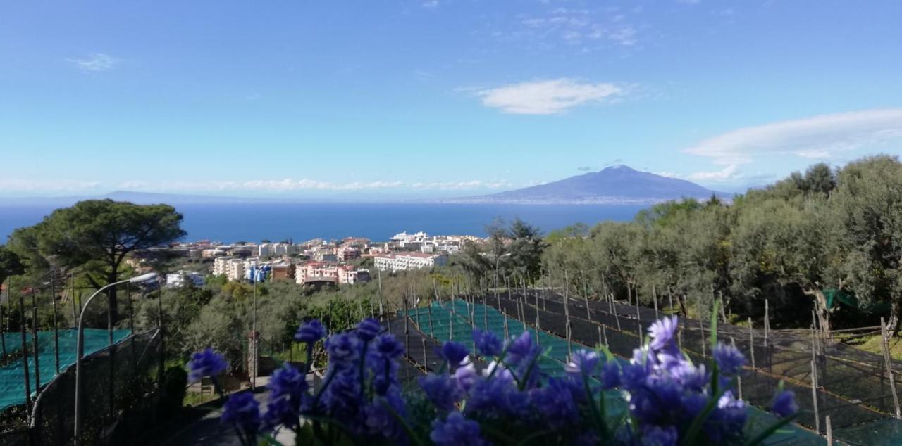 Apartamento Sorrento Dolce Casa Exterior foto
